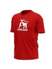 Chicago Bulls Majice CHG-TH-1009 - FANS STORE -